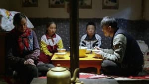 丢羊 — foto 1