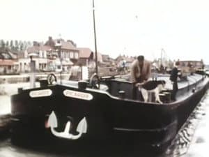 Episodio 14