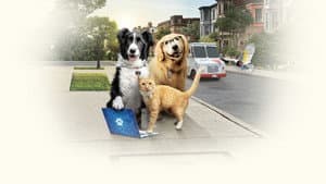 Como perros y gatos 3: Patitas unidas — foto 1