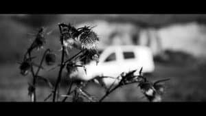 No Man's Land — foto 1