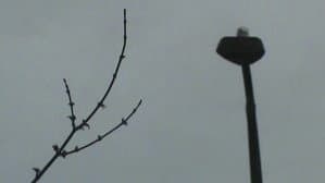 rainy streets — foto 6