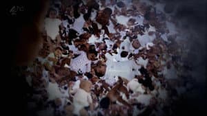 The Great Sperm Race — foto 2