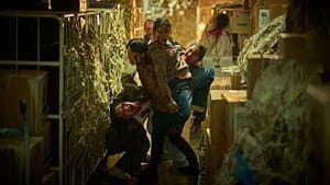 군체 — foto 4