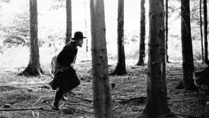 Der plötzliche Reichtum der armen Leute von Kombach — foto 1