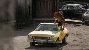 Cujo — foto 9