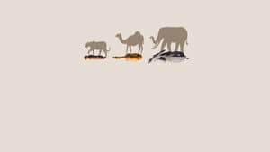 Mammals — foto 7
