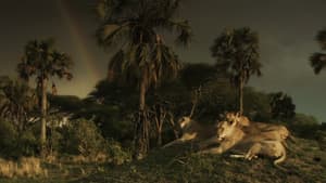 Katavi Africa's Fallen Paradise — foto 3