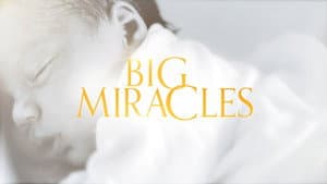 Big Miracles — foto 2