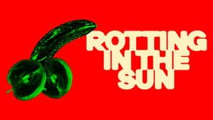 Rotting in the Sun — foto 11