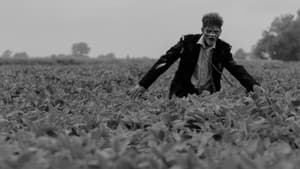 Vampire Zombies...from Space! — foto 5