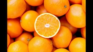 The Colour Orange — foto 2