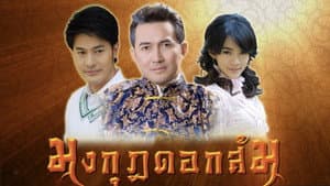 มงกุฎดอกส้ม — foto 6