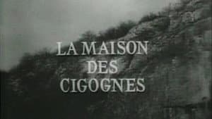 Episodio 10