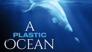 A Plastic Ocean — foto 1