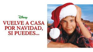 Estaré en casa para navidad — foto 3
