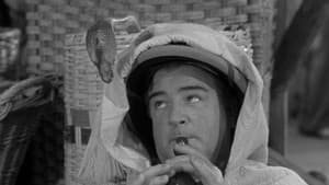 Abbott y Costello contra la momia — foto 6