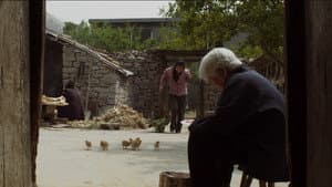 喜丧 — foto 2