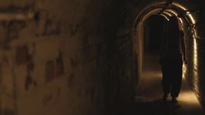 The Cellar — foto 1