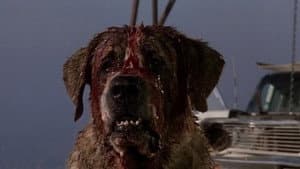 Cujo — foto 7