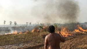 Fogo na Floresta — foto 1