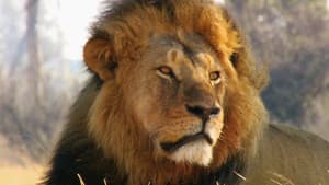 Cecil: The Legacy of a King — foto 3