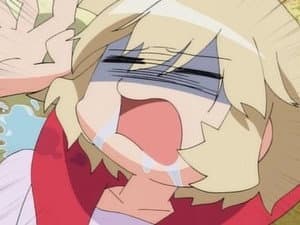Episodio 13