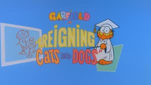 Como perros y gatos