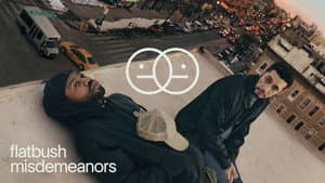 Flatbush Misdemeanors — foto 1
