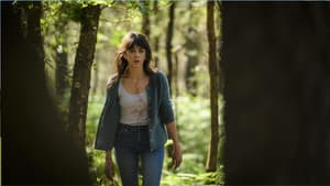 Brocéliande — foto 1