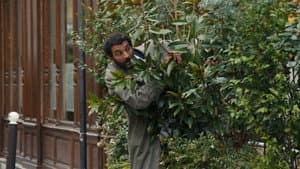 Youssef Salem a du succès — foto 11