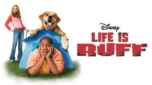 Life Is Ruff — foto 7