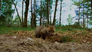 Onze Natuur, De Film — foto 5