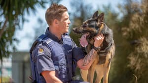 Dog Squad — foto 1