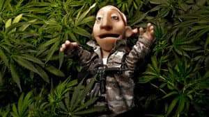H*A*S*H — foto 1