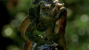 Dragons Alive — foto 2