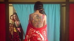 女郎蜘蛛 — foto 3