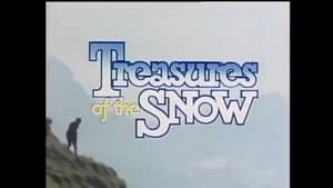 Treasures of the Snow — foto 1