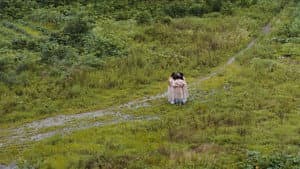 녹음이 빛나는 일대기 — foto 1