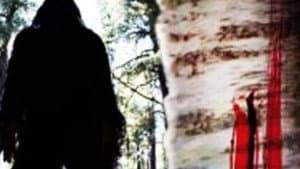 Sasquatch Mountain — foto 1