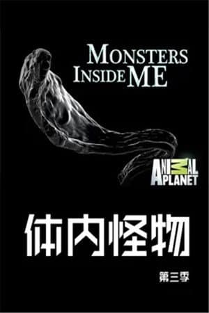 Temporada 3