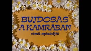 Episodio 11