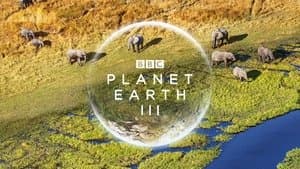 Planet Earth III — foto 7