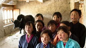 Lunana, un yak en la escuela — foto 6
