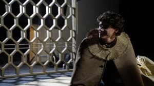 Demiurge — foto 4