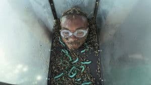 Episodio 9