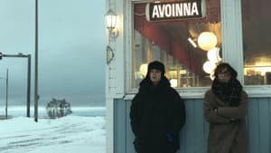 Järjettömän paska idea — foto 2