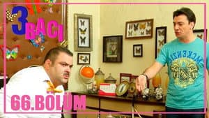 Episodio 66
