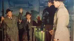 David Harding, Counterspy — foto 1