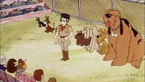 Episodio 16