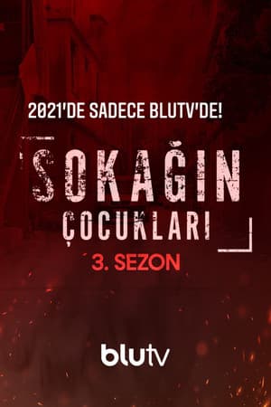 Temporada 3